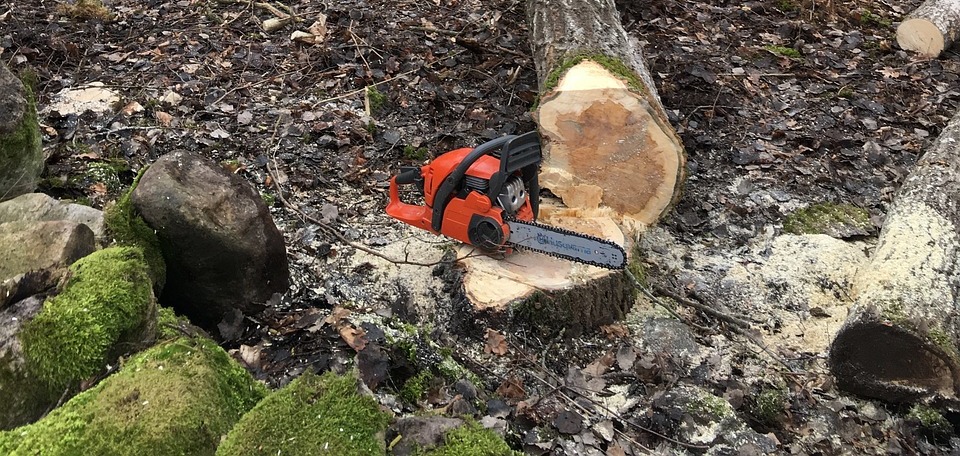 Czy zaświadczenie ukończenie kursu obsługi pilarek łańcuchowych spalinowych mechanicznych, będzie uprawniało do wykonywania prac przy robotach ziemnych, budowlanych i drogowych?