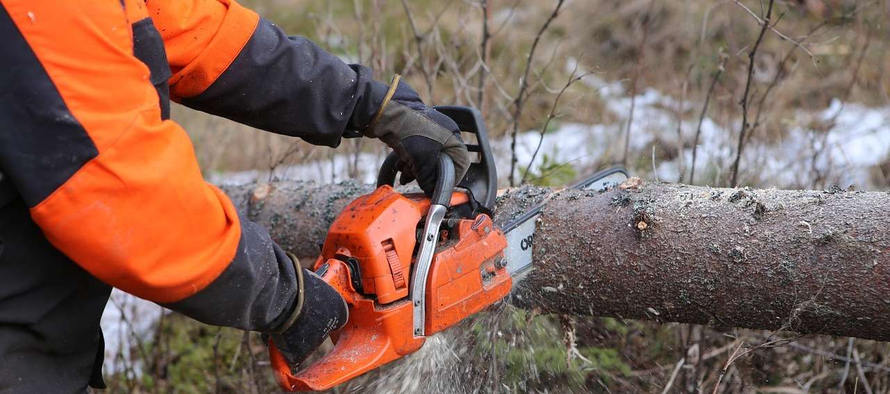 Jakie uprawnienia na pilarki łańcuchowe spalinowe?