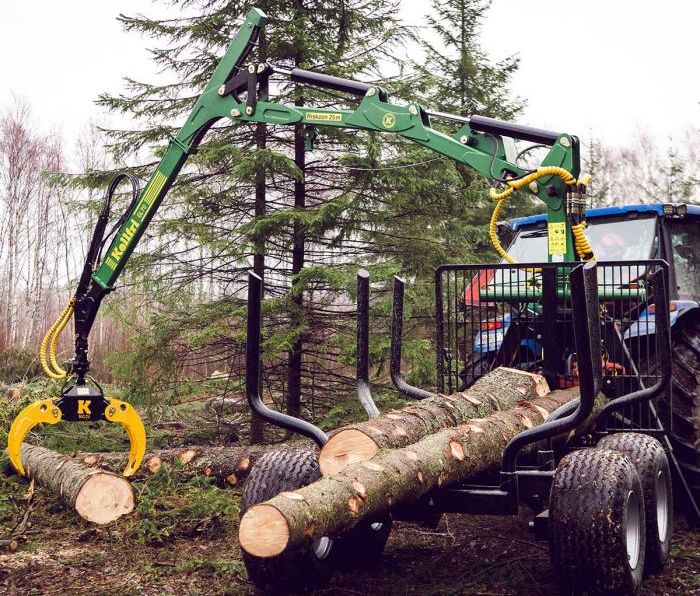 kurs na żurawie leśne